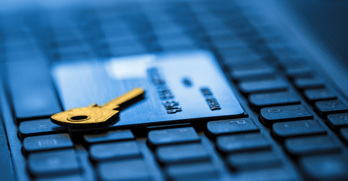 Negative Payment Systems Testing