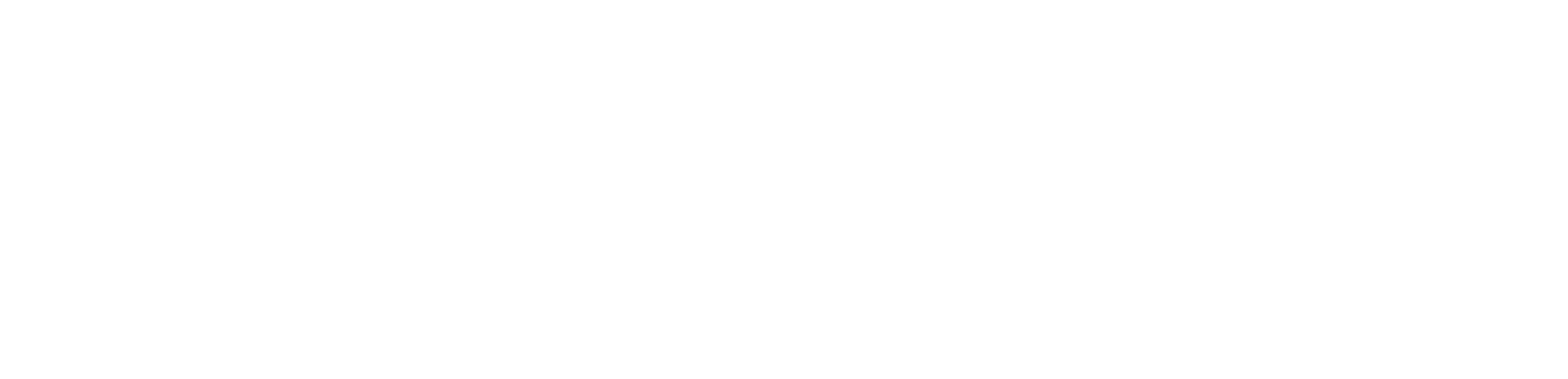Paragon-Logo-White-L